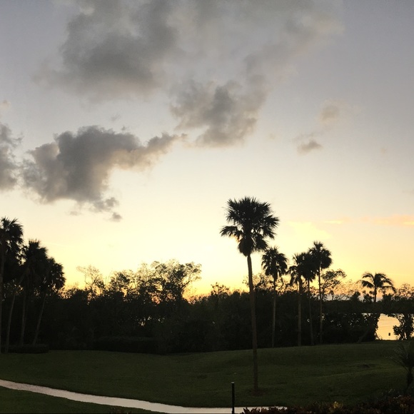 Meet your Posher, Sammie - Picture 1 of 8